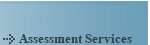 assessment services