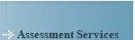 assessment services